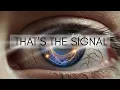 Eye Twitching Meaning During Spiritual Awakening - The Truth No One Told You