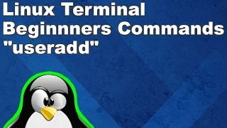 Linux Terminal for Beginners Commands 14 Adding a new user with useradd