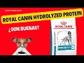 Dog Food Review Royal Canin Hydrolyzed Protein