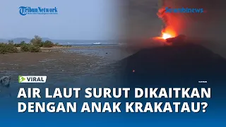 Air Laut Lampung Mendadak Surut, Warganet Kaitkan dengan Anak Krakatau