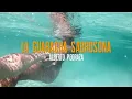 Alberto Pedraza - Guaracha Sabrosona (Visualizer)