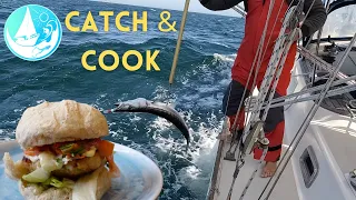 Catch and cook SAILING BAJA MEXICO