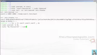 GCSE Computing - FOR loop to create multiple Linux users