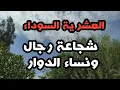 Download Lagu حكاية.../شجاعة رجال ونساء الدوار في مواجهة الجماعة المسل*حة (الجيا) رعب العشرية السوداء 🔞