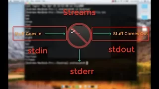Unix for Neuroimagers head tail and redirection