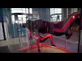 Urban Air Adventure Park Fort Worth TX Now Open
