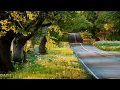 Sultan & Ned Shepard - All These Roads [Young Wolf Hatchlings Remix]