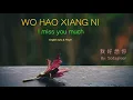 Download Lagu Wo Hao Xiang Ni lyric I Miss You Much   Pinyin   English   Learn Chinese by songs720P HD