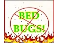 how to avoid bed bugs in a hotel room
