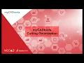 myCADtools Cutting Optimization