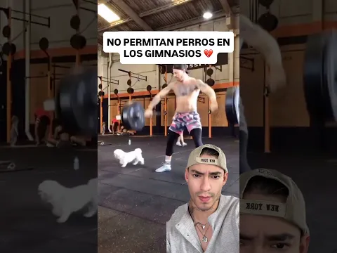 🤔 Gimnasios pet-friendly ¿Si o no? ...#fitness #gym