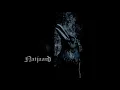 Download Lagu NATJAARD - Witness Of The Century