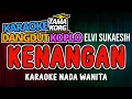 Download Lagu KENANGAN - Karaoke Koplo (ELVY SUKAESIH) Nada Wanita