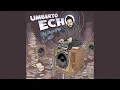 Download Lagu Run (Umberto Echo Dubmix)