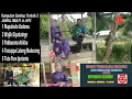 Download Lagu KUMPULAN GAMBUS TERBAIK 2 JAMAL.P MULFI. A. AYU