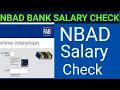 Nbad bank balance enquiry online