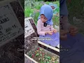 Download Lagu kapan sih aqilla bisa ketemu mama? aqilla kangen.