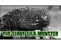 Download Lagu The Giant Gila Monster - horror movie 1959 (widescreen, complete)