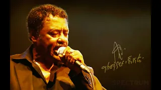 Alemayehu Eshete አለማየሁ እሸቴ 