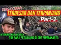 KING COBRA TERBESAR DAN TERPANJANG DITEMUKAN DI GOA PURWAKARTA