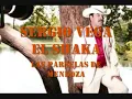 SERGIO VEGA LAS PARCELAS DE MENDOZA.