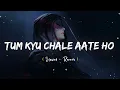 Tum Kyu Chale Aate Ho - Lofi Mix (Slowed + Reverb) | Vicky Singh |