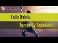 Yalla Habibi / Feat. Seyi Shay, Costi [Summer Hit] / Ragheb Alama / Ashok ft Member