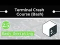 Bash Scripting Basics