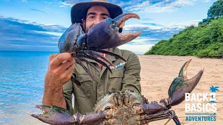 Catching HUGE MUDCRABS on a tiny Mangrove Island 🏝