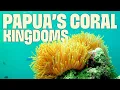 Download Lagu Papua Beneath the Surface | FULL DOCUMENTARY | Wild Indonesia | @UltimateNatureDocs