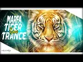 Download Lagu Hyderabadi Marfa Vs Tiger Trance | Dj Nikhil Martyn