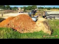 Download Lagu Nice Operation, Landfill Size 30mx50m By Skill Dozer Pushing Soil And Many Dump Trucks Dumping Soil