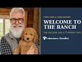 Welcome to the Ranch A Tour of Lakeshore Doodles and How Picking Day Works