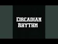 Download Lagu Circadian Rhythm