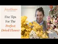 Download Lagu Five Tips For The Perfect Dried Flower