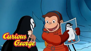 The Lost Penguin Project!🐧 🐵 Curious George 🐵 Kids Cartoon 🐵 Kids Movies