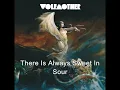 Wolfmother - Joker and The Thief(Lyrics)
