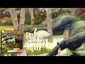 Rival Sons: Too Bad (Official Audio)