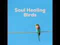 Soul Healing Birds - Soul Healer