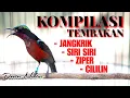 Download Lagu KOMPILASI KONIN GACOR FULL ISIAN TEMBAKAN JANGKRIK-SIRI SIRI-ZIPER-CILILIN COCOK BUAT MASTERAN BAHAN