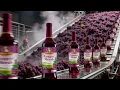 Lagu Beginilah Proses Pembuatan Minuman Anggur Merah #anggurmerah #wine