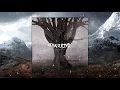 Fimbultyr - 2016 - Niddikter (Full Album)