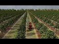 Gizmo - Simulations for Agro Autonomy