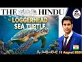 The Hindu Analysis 19 August 2026 The Hindu Editorial Analysis The Hindu Newspaper PIB News