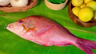 சங்கரா மீன் வறுவல் | Red Snapper Fish Fry Recipe in Tamil | Anjali Cold Pressed Sesame Oil