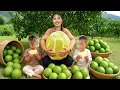 Download Lagu Harvesting 1000+ super sour lime in the garden to sell at the market, cooking for my children