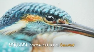 การวาดภาพทางวิทยาศาสตร์ต่างจากศิลปะทั่วไปอย่างไรในแง่ของความถูกต้อง