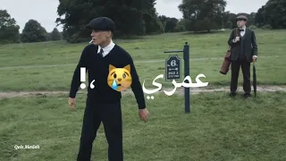 حالات واتس اب توماس شيلبي انا جسمي مضحي بيه    تصاميم انستا ستوريات انستا دندنها