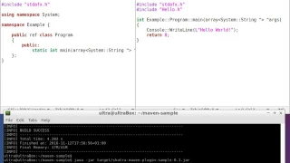 C Hello World to Java conversion