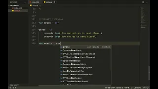 3 Javascript Ternary Operator - JAVASCRIPT TUTORIAL BEGINNERS TO ADVANCE GUIDE